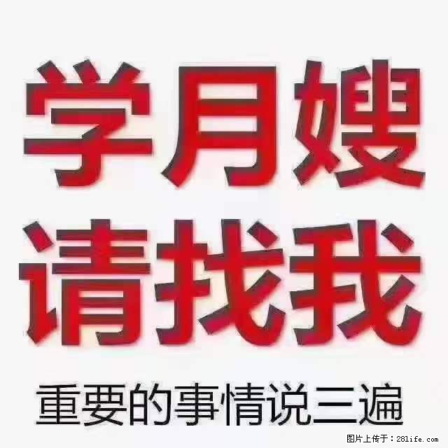 为什么要学习月嫂，育婴师？ - 其他广告 - 广告专区 - 黄冈分类信息 - 黄冈28生活网 hg.28life.com