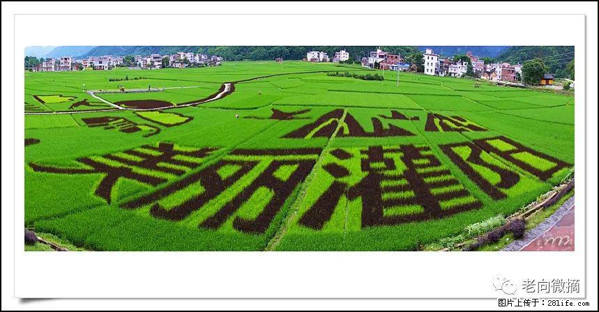 【春天，广西桂林灌阳县向您发出邀请！】开篇 - 游山玩水 - 黄冈生活社区 - 黄冈28生活网 hg.28life.com