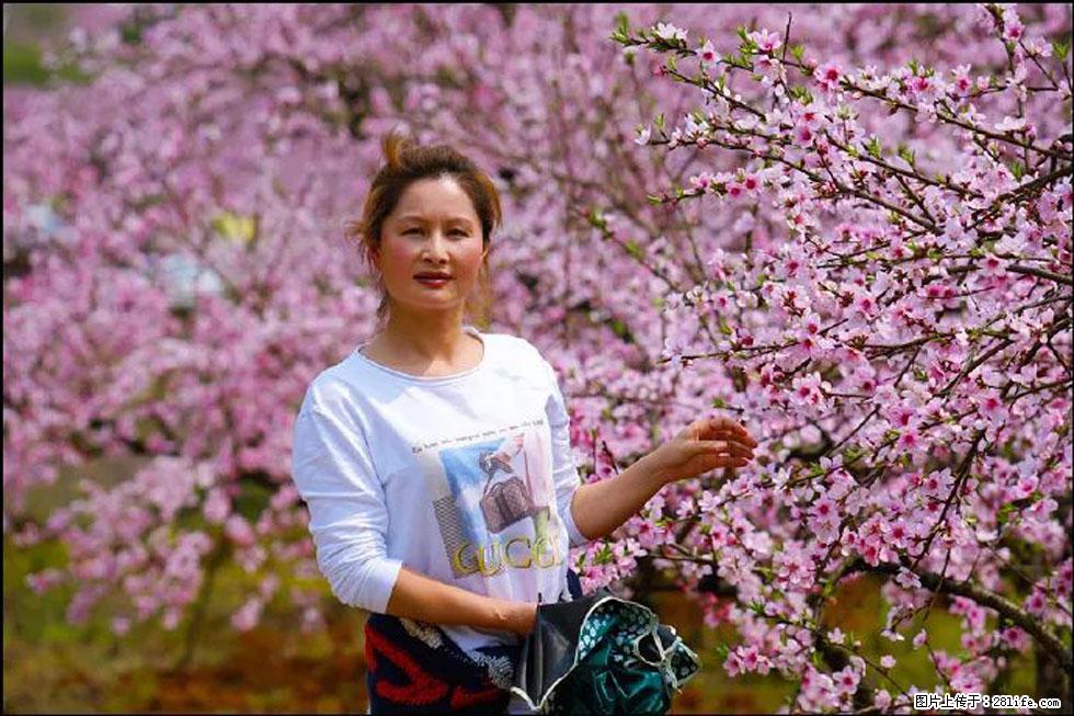 【春天,广西桂林灌阳县向您发出邀请!】官庄村有个醉美的桃花园 - 游山玩水 - 黄冈生活社区 - 黄冈28生活网 hg.28life.com
