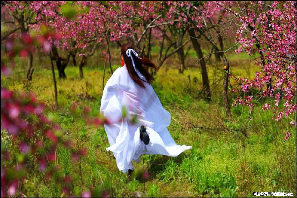 【春天,广西桂林灌阳县向您发出邀请!】官庄村有个醉美的桃花园 - 游山玩水 - 黄冈生活社区 - 黄冈28生活网 hg.28life.com