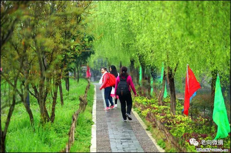 【春天,广西桂林灌阳县向您发出邀请!】江口老街又逢春 - 游山玩水 - 黄冈生活社区 - 黄冈28生活网 hg.28life.com