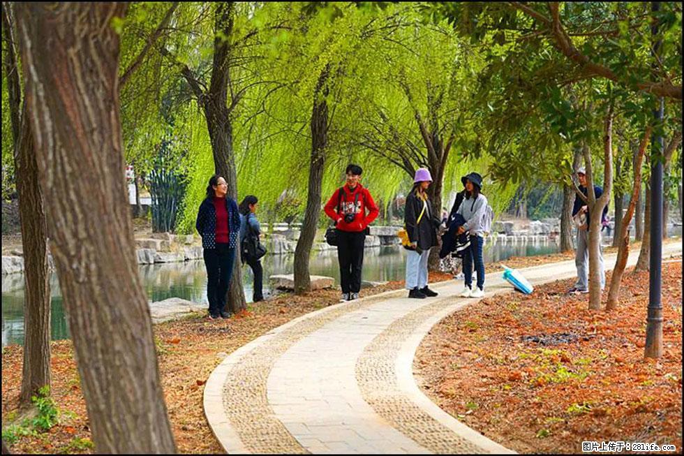 【春天,广西桂林灌阳县向您发出邀请!】江口老街又逢春 - 游山玩水 - 黄冈生活社区 - 黄冈28生活网 hg.28life.com