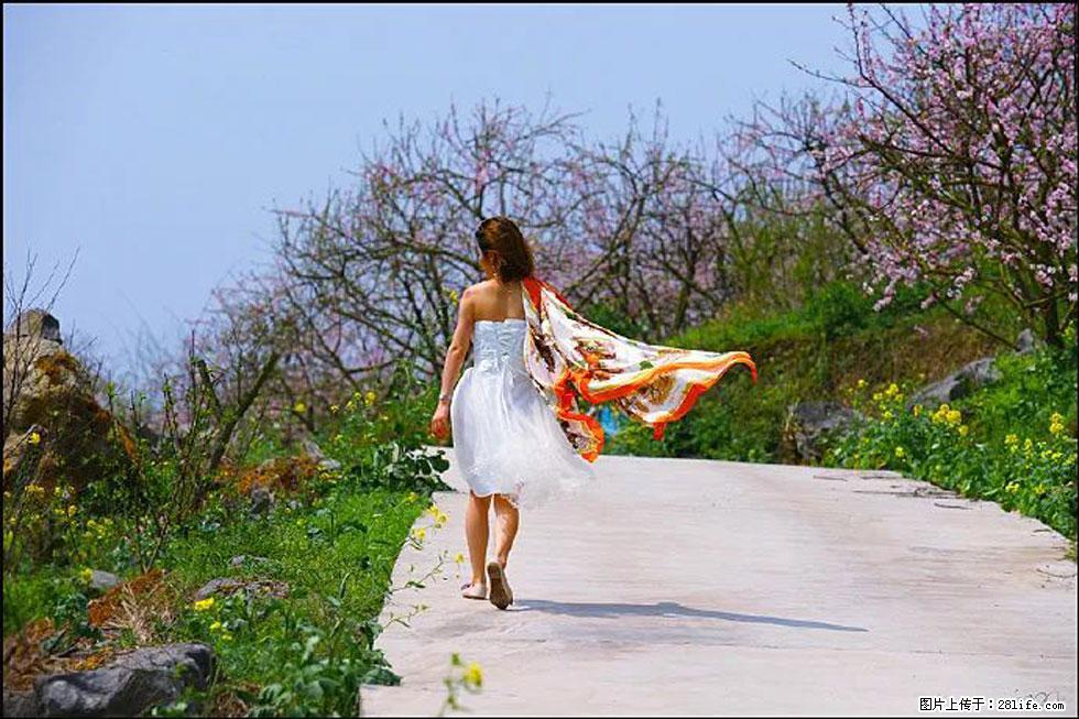 【春天,广西桂林灌阳县向您发出邀请!】望月岭上桃花开 - 游山玩水 - 黄冈生活社区 - 黄冈28生活网 hg.28life.com