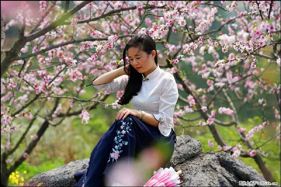 【春天,广西桂林灌阳县向您发出邀请!】望月岭上桃花开 - 游山玩水 - 黄冈生活社区 - 黄冈28生活网 hg.28life.com