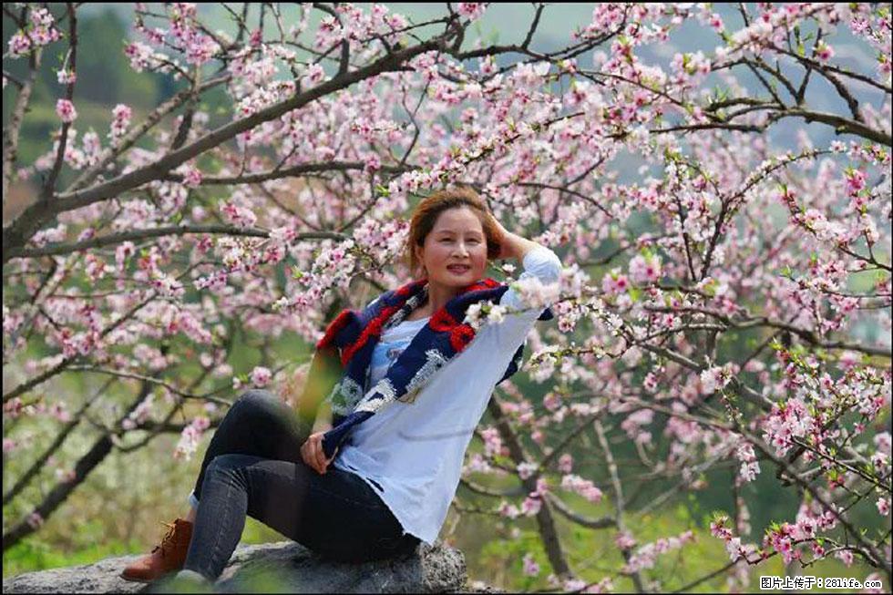 【春天,广西桂林灌阳县向您发出邀请!】望月岭上桃花开 - 游山玩水 - 黄冈生活社区 - 黄冈28生活网 hg.28life.com