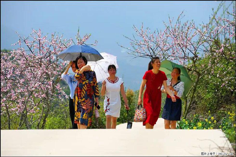 【春天,广西桂林灌阳县向您发出邀请!】望月岭上桃花开 - 游山玩水 - 黄冈生活社区 - 黄冈28生活网 hg.28life.com