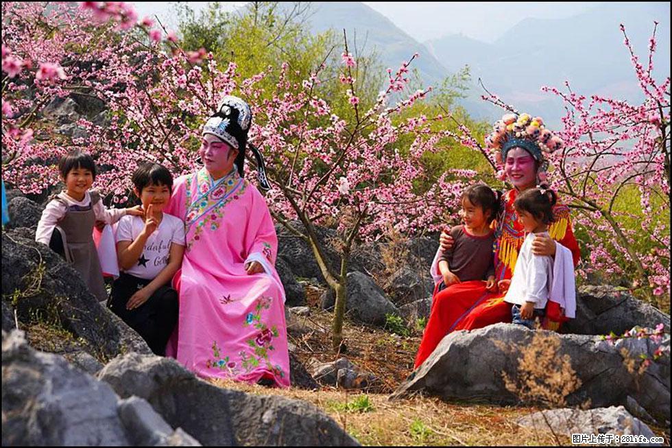 【春天,广西桂林灌阳县向您发出邀请!】望月岭上桃花开 - 游山玩水 - 黄冈生活社区 - 黄冈28生活网 hg.28life.com