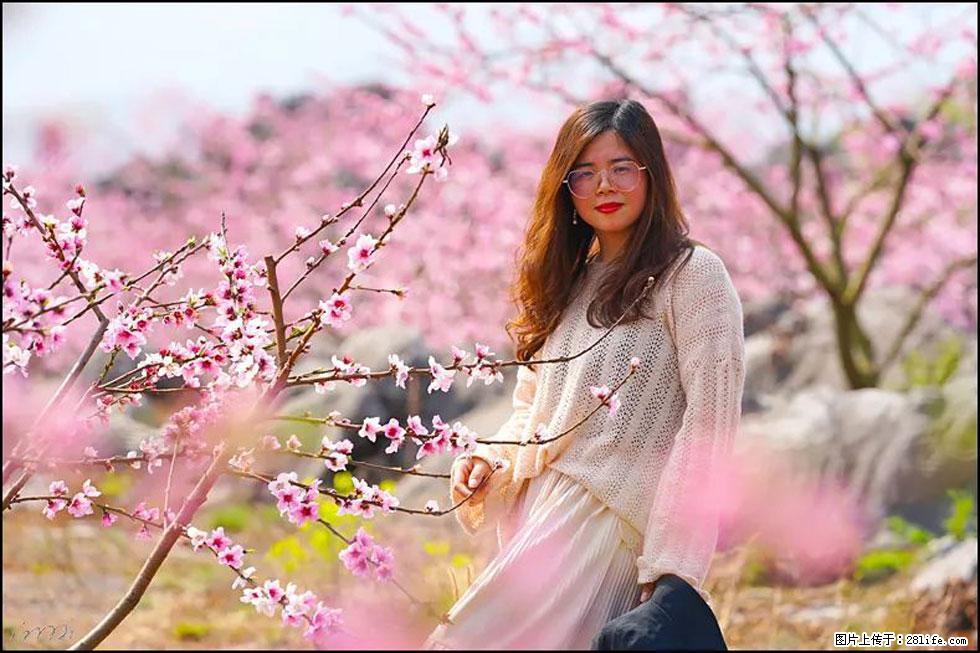 【春天,广西桂林灌阳县向您发出邀请!】望月岭上桃花开 - 游山玩水 - 黄冈生活社区 - 黄冈28生活网 hg.28life.com