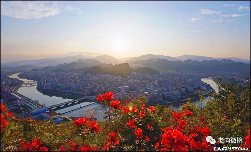 【春天，广西桂林灌阳县向您发出邀请！】登麒麟山，相约映山红 - 游山玩水 - 黄冈生活社区 - 黄冈28生活网 hg.28life.com