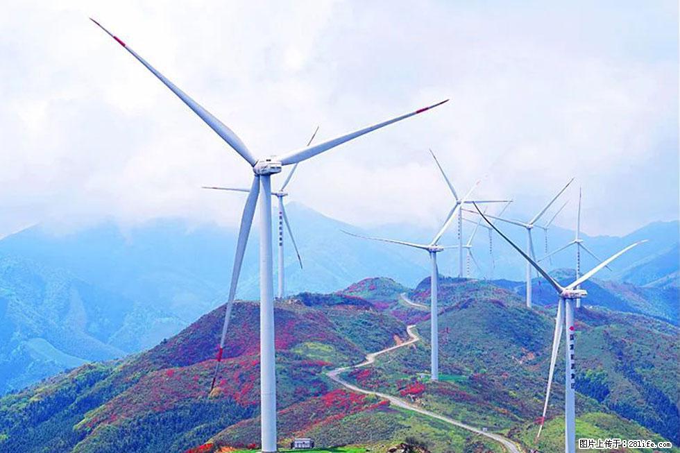 【春天，广西桂林灌阳县向您发出邀请！】春木界上映山红 - 游山玩水 - 黄冈生活社区 - 黄冈28生活网 hg.28life.com