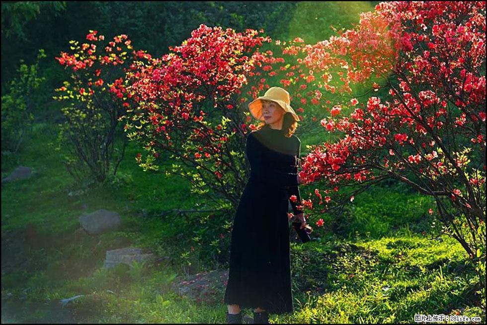 【春天，广西桂林灌阳县向您发出邀请！】春木界上映山红 - 游山玩水 - 黄冈生活社区 - 黄冈28生活网 hg.28life.com