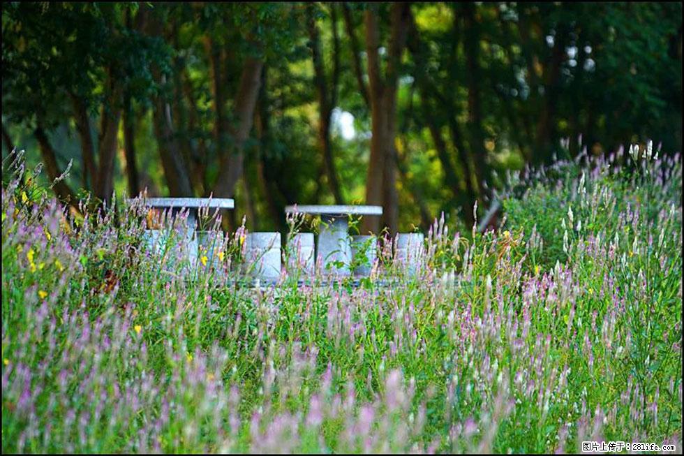 【春天，广西桂林灌阳县向您发出邀请！】熊家寨湿地公园 - 游山玩水 - 黄冈生活社区 - 黄冈28生活网 hg.28life.com