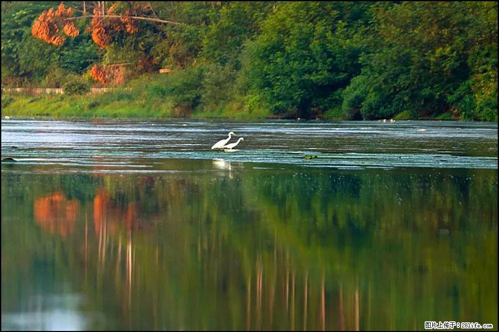 【春天，广西桂林灌阳县向您发出邀请！】熊家寨湿地公园 - 游山玩水 - 黄冈生活社区 - 黄冈28生活网 hg.28life.com