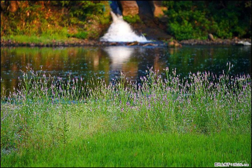 【春天，广西桂林灌阳县向您发出邀请！】熊家寨湿地公园 - 游山玩水 - 黄冈生活社区 - 黄冈28生活网 hg.28life.com