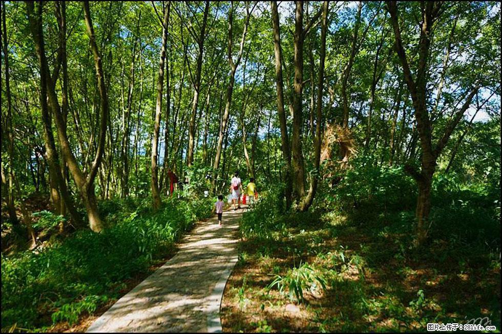 【春天，广西桂林灌阳县向您发出邀请！】熊家寨湿地公园 - 游山玩水 - 黄冈生活社区 - 黄冈28生活网 hg.28life.com