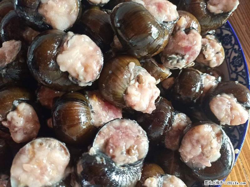 (舌尖上的乡村)灌阳:让人口齿留香的田螺酿 - 2023年07月31日 桂林日报第6版刊发 - 美食天地 - 黄冈生活社区 - 黄冈28生活网 hg.28life.com