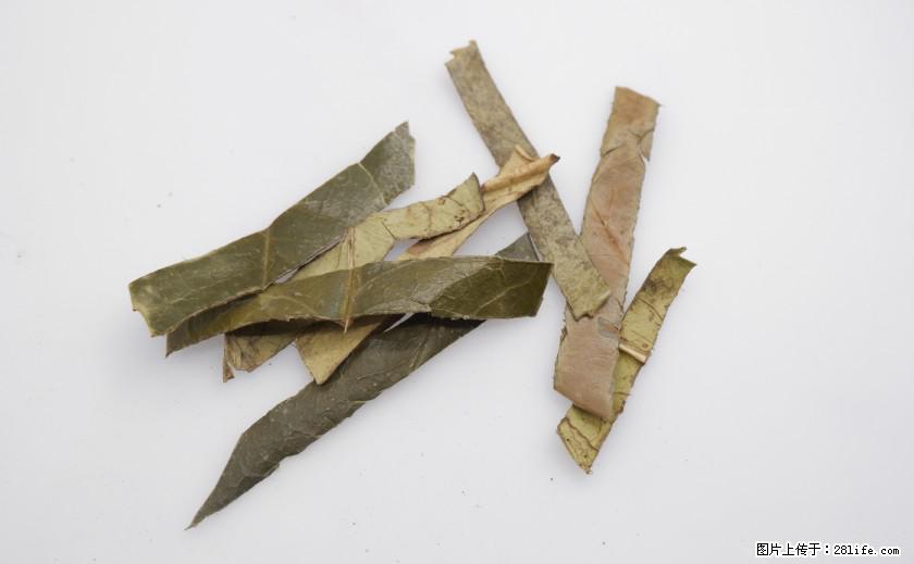 苦丁茶有哪些功效和作用 - 生活百科 - 黄冈生活社区 - 黄冈28生活网 hg.28life.com