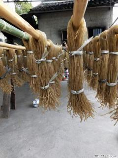 【灌阳正宗红薯粉】美女家里自己做的，干净卫生，假一赔十，价格合理，抢购电话：13737312895 - 黄冈28生活网 hg.28life.com