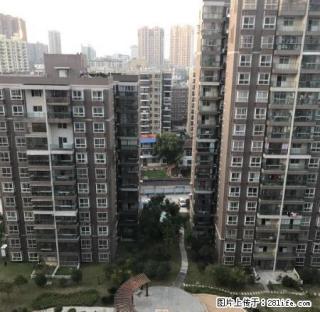 园林级小区，精品高层电梯公寓，带阳台，高管居家优选（可短租） - 黄冈28生活网 hg.28life.com