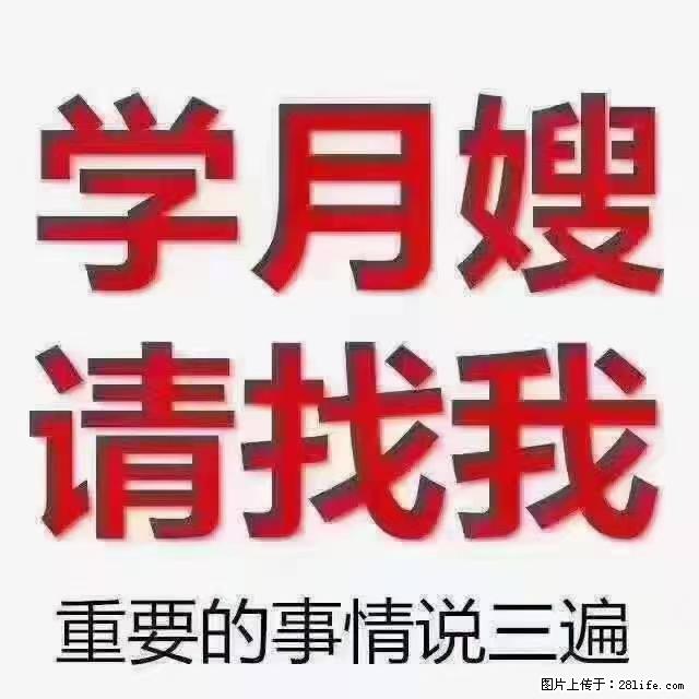 【招聘】月嫂,上海徐汇区 - 职场交流 - 黄冈生活社区 - 黄冈28生活网 hg.28life.com