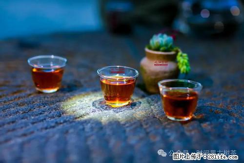 时间果百年古树2025年春红茶 - 购物交流 - 黄冈生活社区 - 黄冈28生活网 hg.28life.com