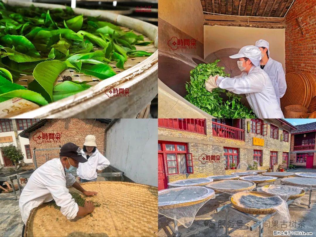 时间果百年古树龙珠普洱生茶 - 购物交流 - 黄冈生活社区 - 黄冈28生活网 hg.28life.com
