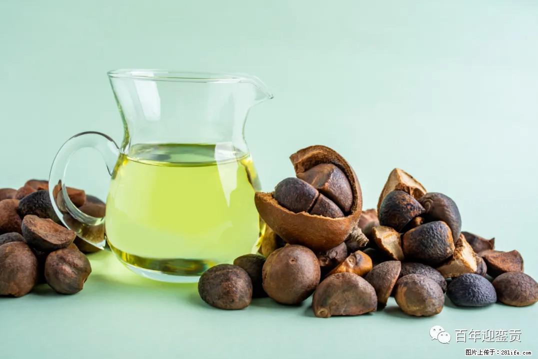 世界没有真相,只有认知,最好的食用油是中国的山茶油! - 黄冈生活资讯 - 黄冈28生活网 hg.28life.com