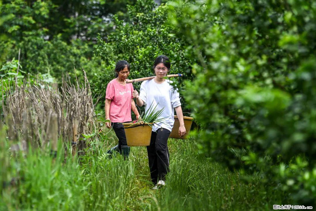 全网追的“扁担女孩”,找了一份暑假工,时薪12元 - 黄冈生活资讯 - 黄冈28生活网 hg.28life.com
