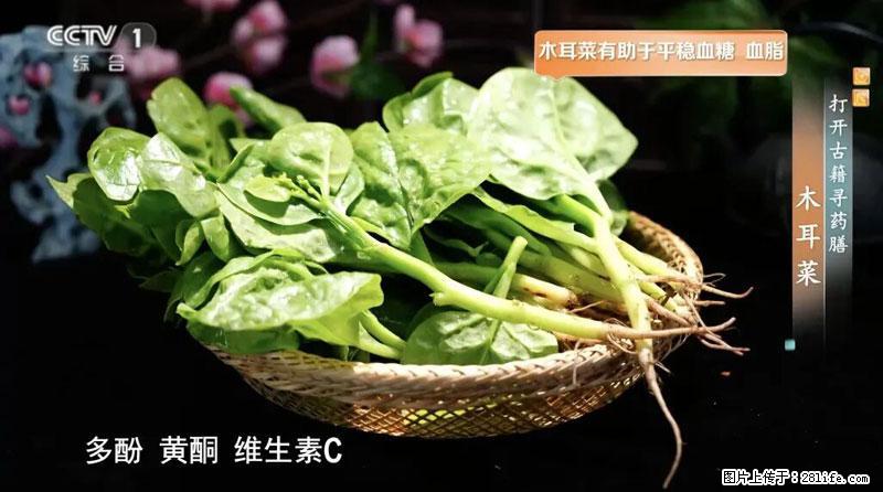 比牛奶补钙还厉害!凉血解毒、稳血糖...这菜冬天必吃,很多人却当草 - 黄冈生活资讯 - 黄冈28生活网 hg.28life.com