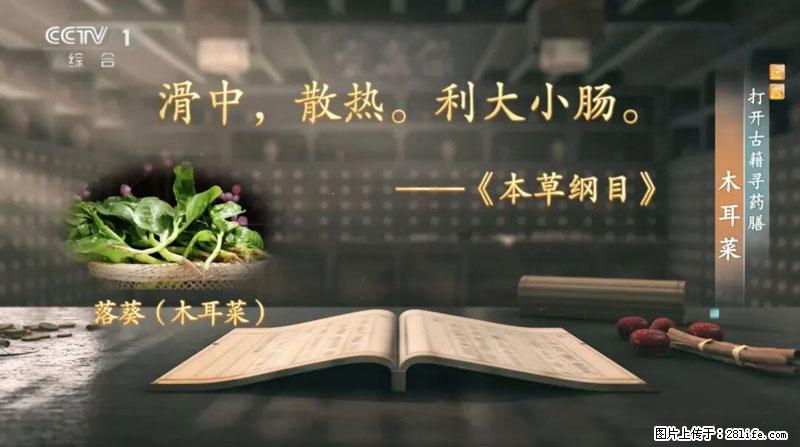 比牛奶补钙还厉害!凉血解毒、稳血糖...这菜冬天必吃,很多人却当草 - 黄冈生活资讯 - 黄冈28生活网 hg.28life.com