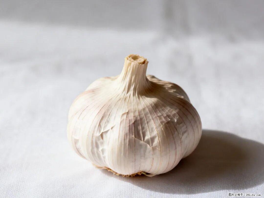 关于大蒜,除了“天然抗生素”,这4个谣言更该警惕! - 黄冈生活资讯 - 黄冈28生活网 hg.28life.com