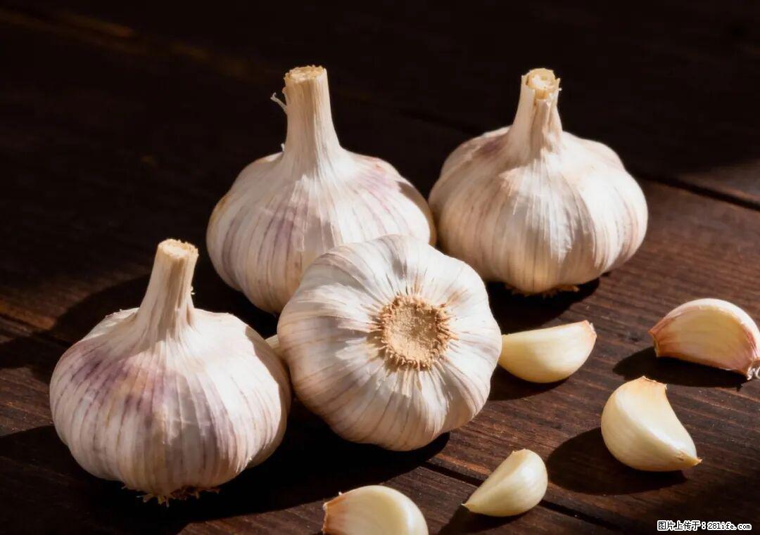 关于大蒜,除了“天然抗生素”,这4个谣言更该警惕! - 黄冈生活资讯 - 黄冈28生活网 hg.28life.com