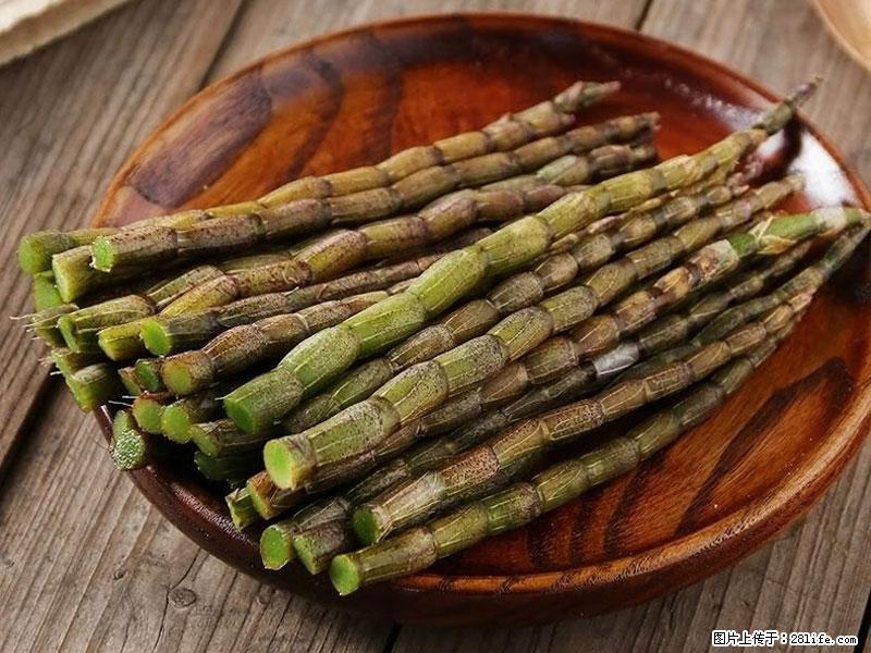 铁皮石斛的作用与功能主治 - 黄冈生活资讯 - 黄冈28生活网 hg.28life.com